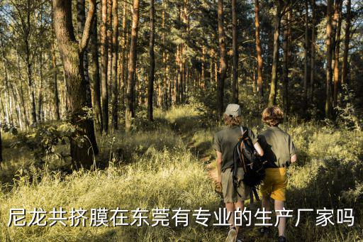 尼龍共擠膜在東莞有專業的生產廠家嗎