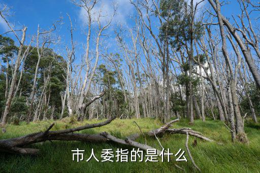 市人委指的是什么