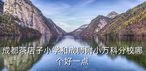成都茶店子小學(xué)和成師附小萬科分校哪個好一點