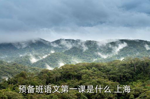 預備班語文第一課是什么 上海