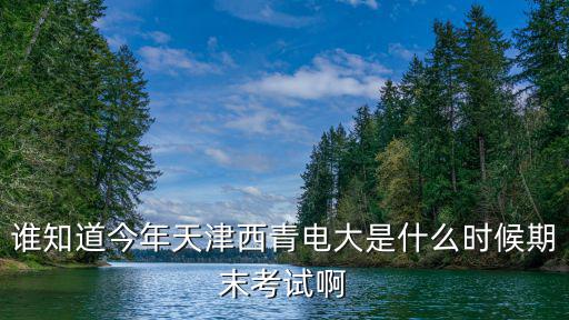 誰知道今年天津西青電大是什么時候期末考試啊