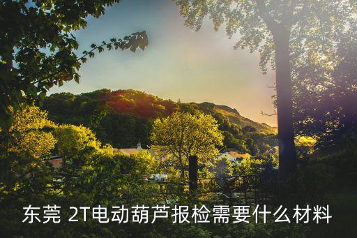東莞 2T電動葫蘆報檢需要什么材料