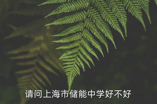 請問上海市儲能中學好不好