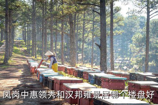 鳳崗中惠領(lǐng)秀和漢邦雍景居哪個(gè)樓盤好