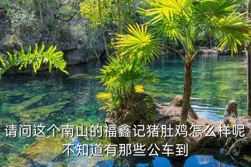 請問這個南山的福鑫記豬肚雞怎么樣呢不知道有那些公車到