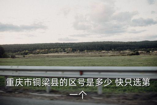 重慶市銅梁區(qū)電話，重慶銅梁出租車公司投訴電話
