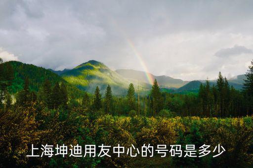 上海坤迪用友中心的號碼是多少