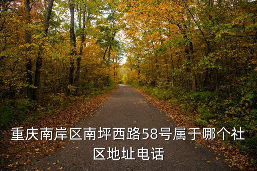 重慶南岸區南坪西路58號屬于哪個社區地址電話