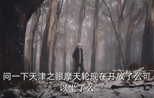 天津市晚上摩天輪可以坐嗎，天津之眼摩天輪開放時間