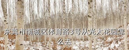 東莞市南城區體育路3號從光大花園怎么去