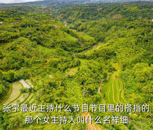 深圳衛視關鍵洞察力主持人，深圳一臺第一現場有兩個張天宇一個是主持人另一個是記者是嗎