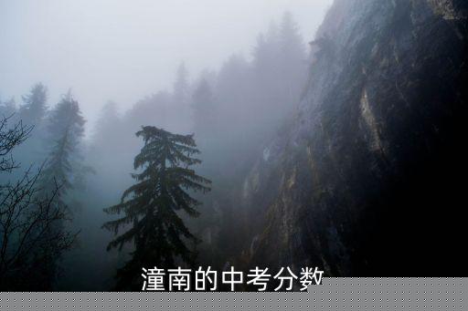 潼南的中考分數