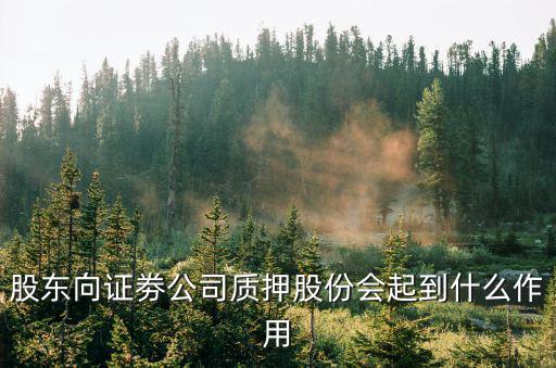 股東向證劵公司質押股份會起到什么作用