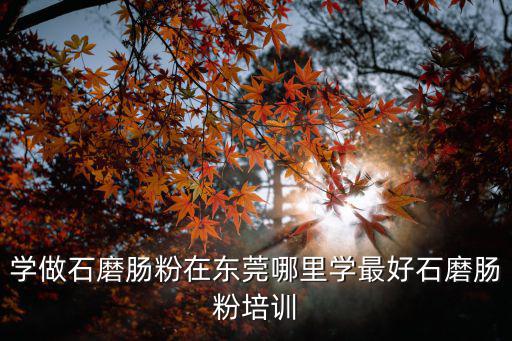 贏記王石磨腸粉東莞有嗎，學做石磨腸粉在東莞哪里學最好石磨腸粉培訓