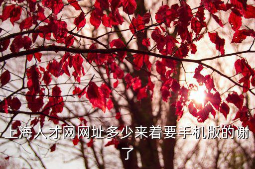 上海人才網網址多少來著要手機版的謝了