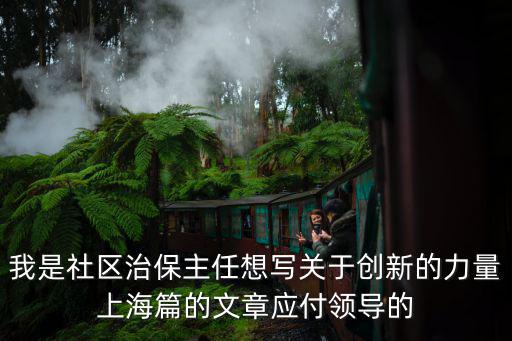 我是社區治保主任想寫關于創新的力量上海篇的文章應付領導的