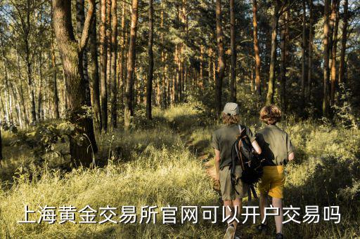 上海黃金交易所官網可以開戶交易嗎