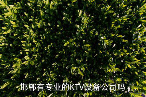 邯鄲有專業(yè)的KTV設(shè)備公司嗎