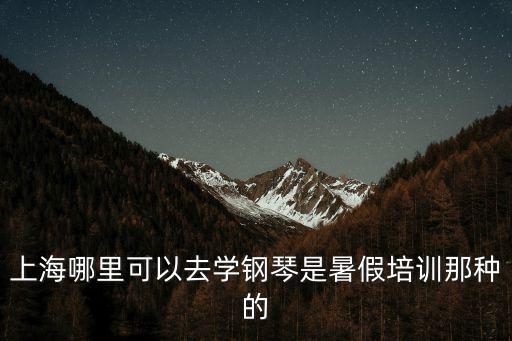 上海哪里可以去學鋼琴是暑假培訓那種的