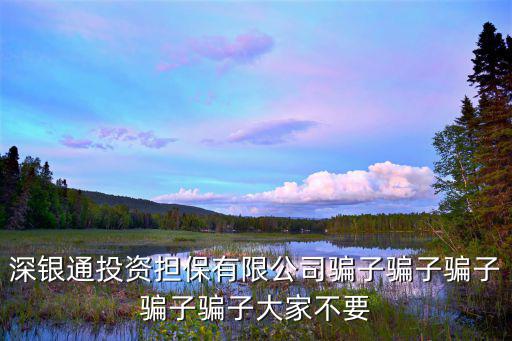 深銀通投資擔(dān)保有限公司騙子騙子騙子騙子騙子大家不要