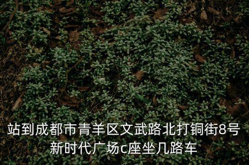 成都市文武路新時代廣場，成都新時代廣場的介紹