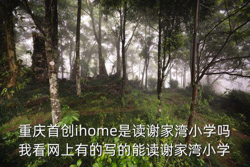 重慶市謝家灣小學參觀有感，謝家灣小學怎樣