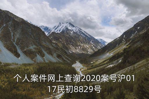 上海市案件編號，案號2020滬0104民初2813號是什么案件