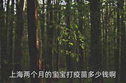 上海市二類疫苗加價，二類疫苗都是收費的嗎沒有免費的嗎建議打還是不打呢