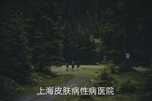 上海市真華路928號，上海皮膚病性病醫院