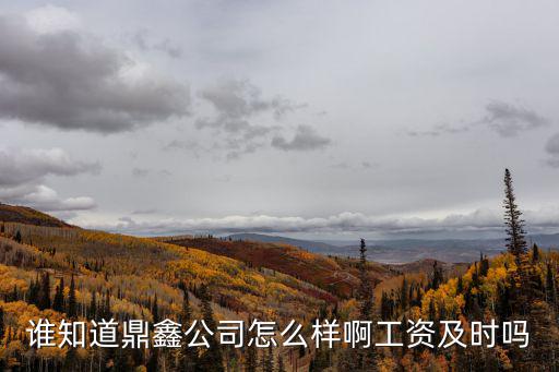 誰知道鼎鑫公司怎么樣啊工資及時嗎