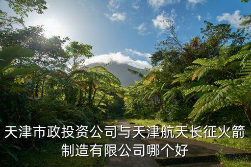 壹財富天津市政，天津市政投資公司與天津航天長征火箭制造有限公司哪個好