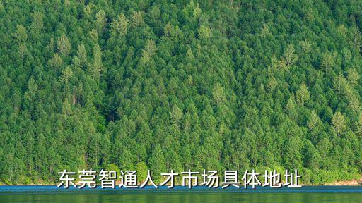 東莞智通人才市場(chǎng)具體地址