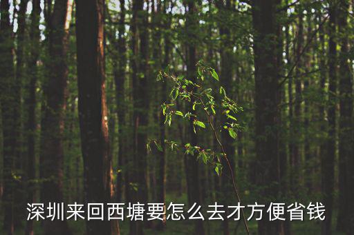 深圳到西塘怎么去，從深圳岀發(fā)想去杭州南京蘇州上海烏鎮(zhèn)西塘怎么走比較好