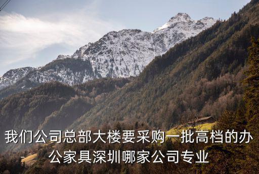 我們公司總部大樓要采購一批高檔的辦公家具深圳哪家公司專業(yè)