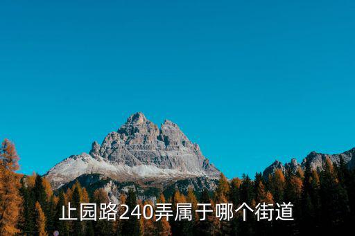 止園路240弄屬于哪個街道