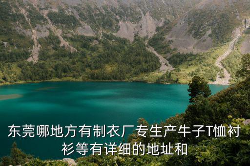 東莞哪地方有制衣廠專生產(chǎn)牛子T恤襯衫等有詳細(xì)的地址和