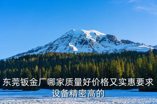 東莞鈑金廠哪家質(zhì)量好價格又實惠要求設(shè)備精密高的