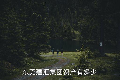 東莞建匯集團(tuán)資產(chǎn)有多少