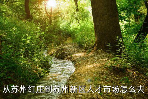 從蘇州紅莊到蘇州新區人才市場怎么去