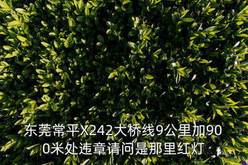 東莞常平X242大橋線9公里加900米處違章請問是那里紅燈