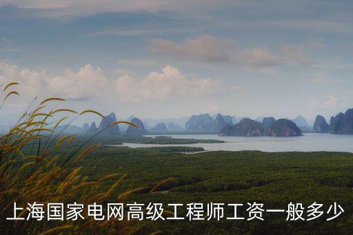 上海國(guó)家電網(wǎng)高級(jí)工程師工資一般多少