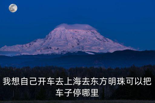我想自己開車去上海去東方明珠可以把車子停哪里