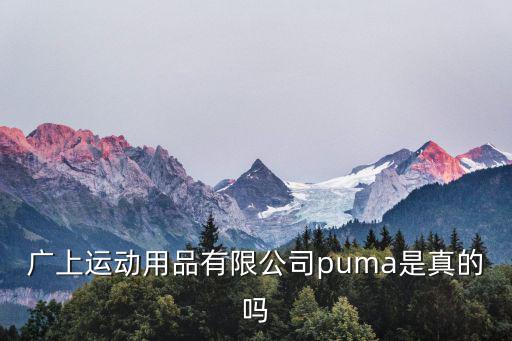 廣上運動用品有限公司puma是真的嗎