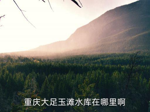 重慶大足玉灘水庫在哪里啊