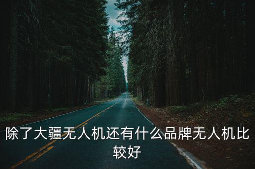 除了大疆無人機還有什么品牌無人機比較好