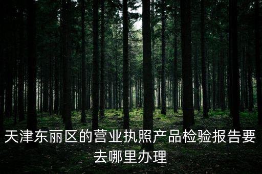 天津東麗區(qū)的營(yíng)業(yè)執(zhí)照產(chǎn)品檢驗(yàn)報(bào)告要去哪里辦理