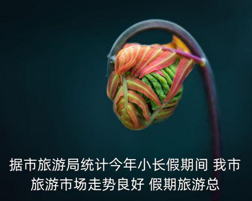 據市旅游局統計今年小長假期間 我市旅游市場走勢良好 假期旅游總