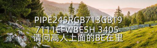 PIPE245RGB713GBT97111EFWBESH 3405 請問高人上面的BE在里