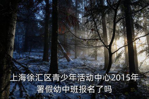 上海徐匯區青少年活動中心2015年署假幼中班報名了嗎