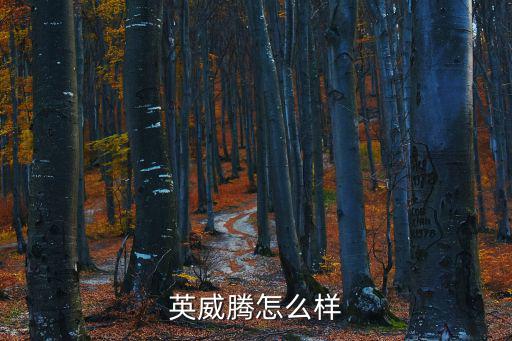 英威騰怎么樣